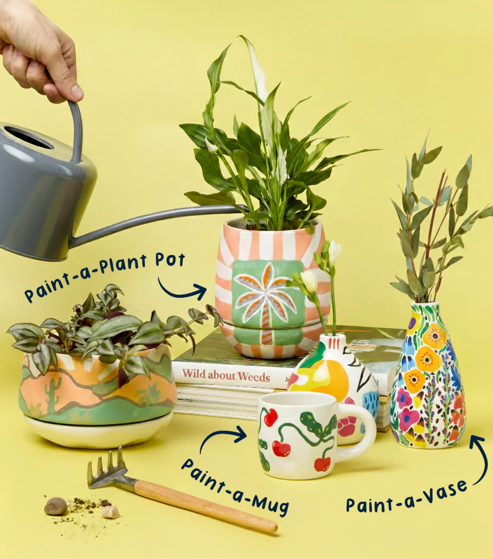 Paintables Mug, Vase & Plant Pot Bundle - Image 2